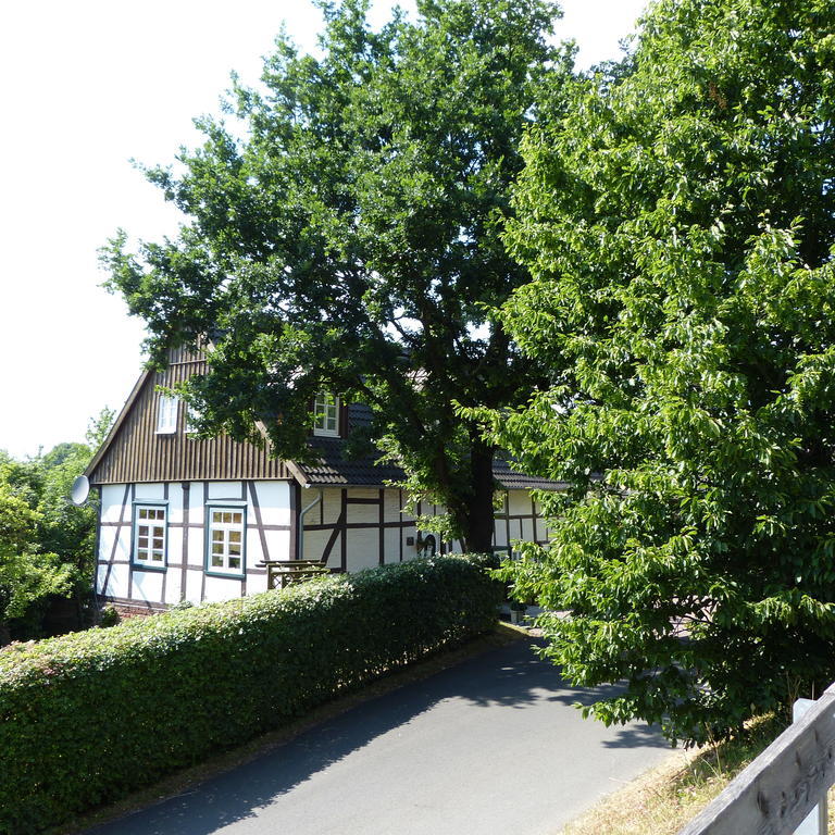 Pension Ridder Marienmünster Exterior foto